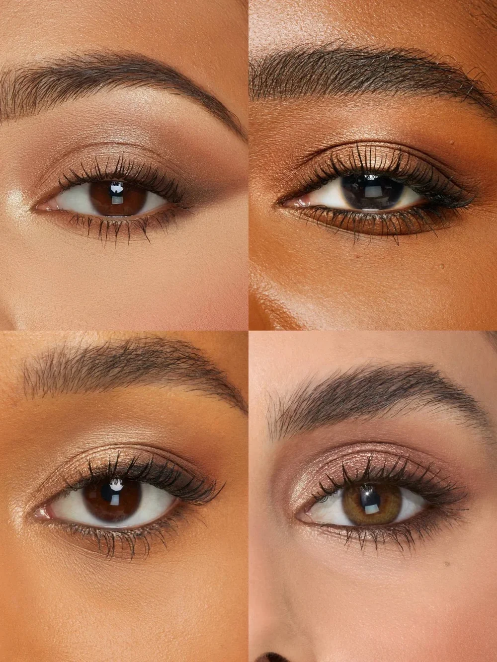 tarte six warm
